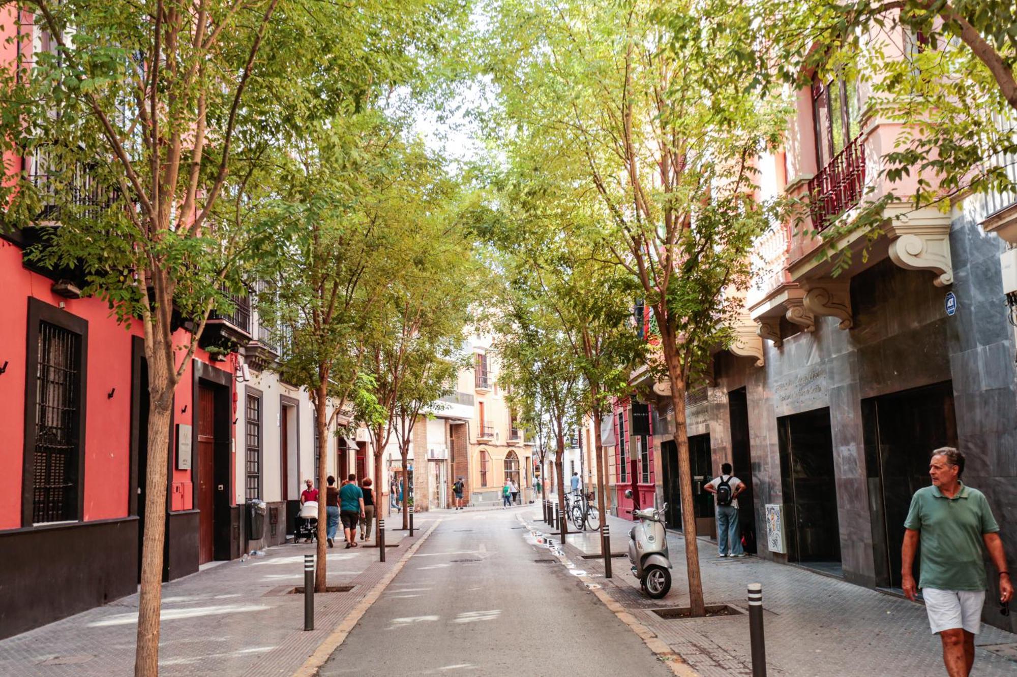 Monkeys Apartments Cervantes Seville Exterior photo