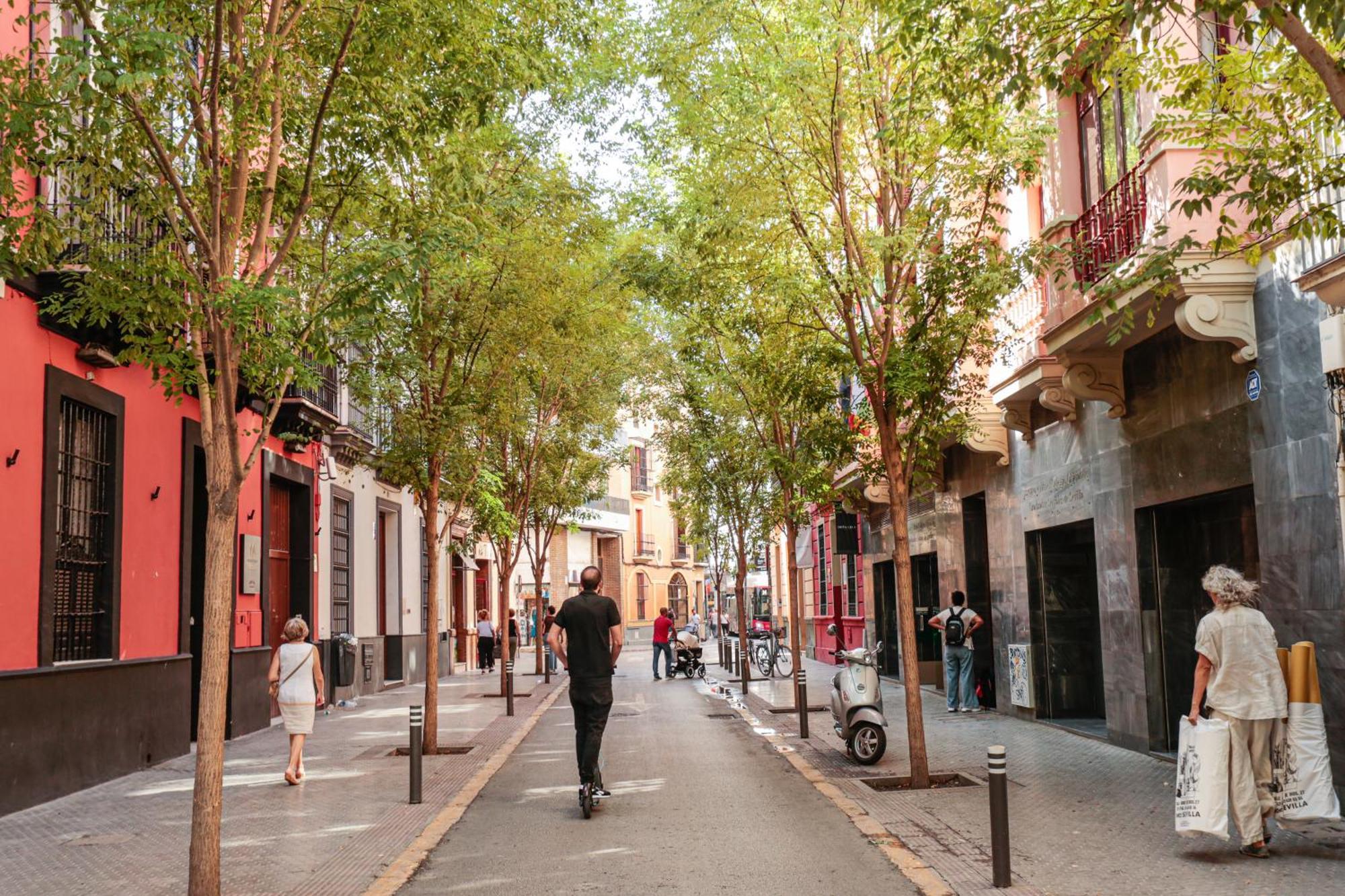 Monkeys Apartments Cervantes Seville Exterior photo